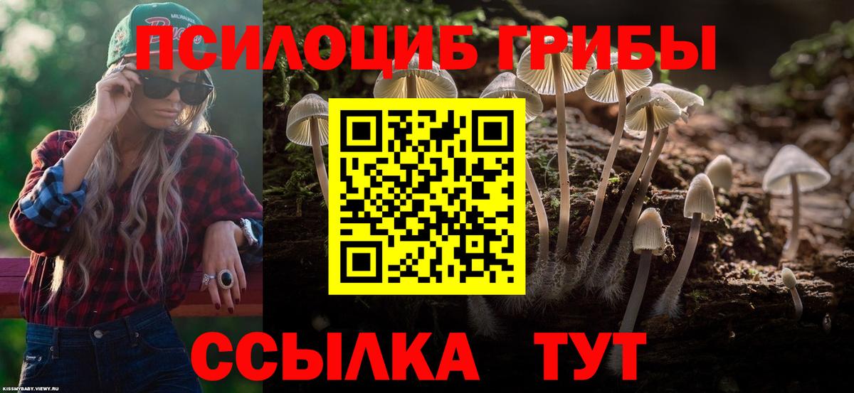 Сибай  Псилоцибиновые грибы прущие грибы  Вход с VPN  Псилоцибиновые грибы прущие грибы 